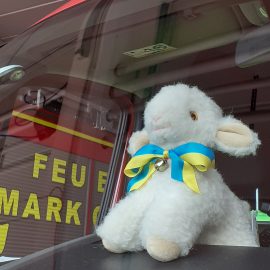 Schaf mit Schleife in Markgröninger Farben vor Feuerwehrauto